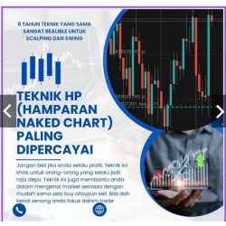 TEKNIK FOREX NAKED CHART DAN INDICATOR PALING DIPERCAYAI (swing and scalping)